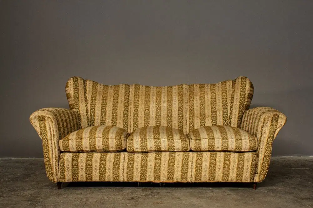 Poltrona e divano a ventaglio anni ’50/’60 - immagine 2