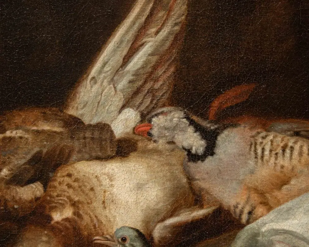 Dipinto attribuito a Jacobus o Iacomo Victor (1640 ca. – 1705) raffigurante una Natura morta con uccelli - immagine 7