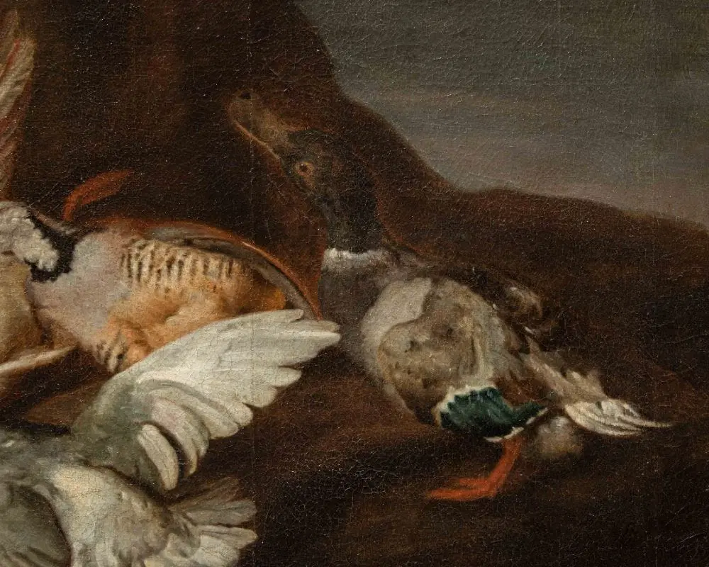 Dipinto attribuito a Jacobus o Iacomo Victor (1640 ca. – 1705) raffigurante una Natura morta con uccelli - immagine 4