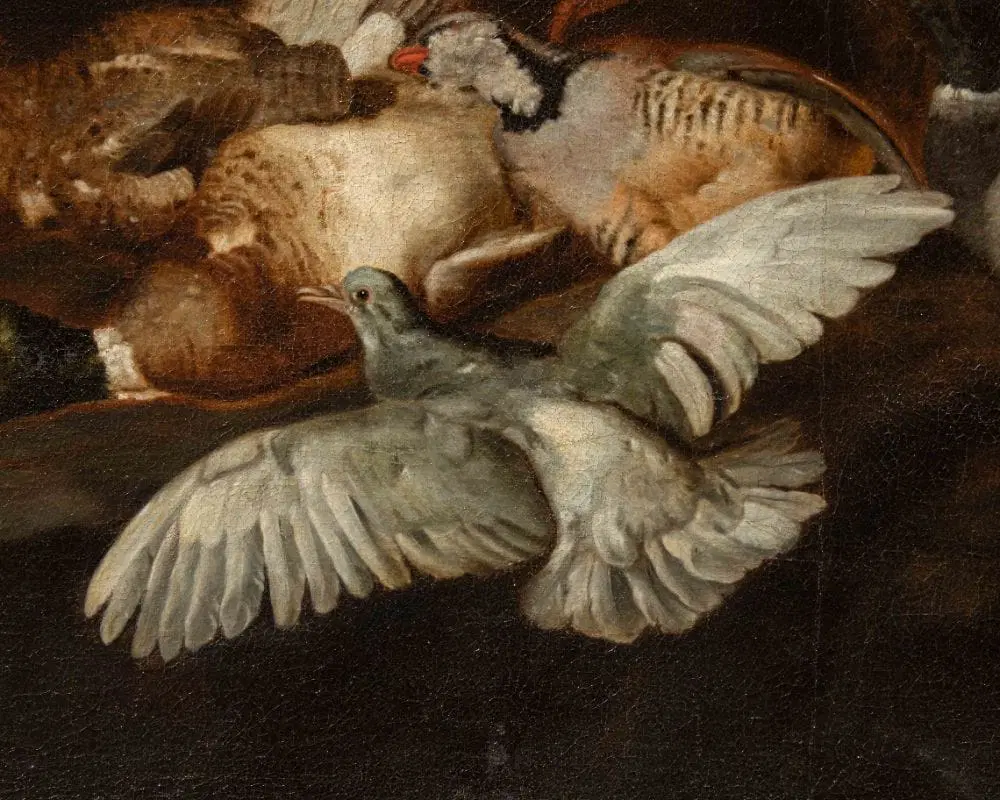 Dipinto attribuito a Jacobus o Iacomo Victor (1640 ca. – 1705) raffigurante una Natura morta con uccelli - immagine 3