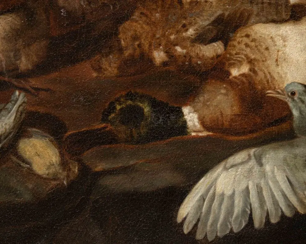 Dipinto attribuito a Jacobus o Iacomo Victor (1640 ca. – 1705) raffigurante una Natura morta con uccelli - immagine 6