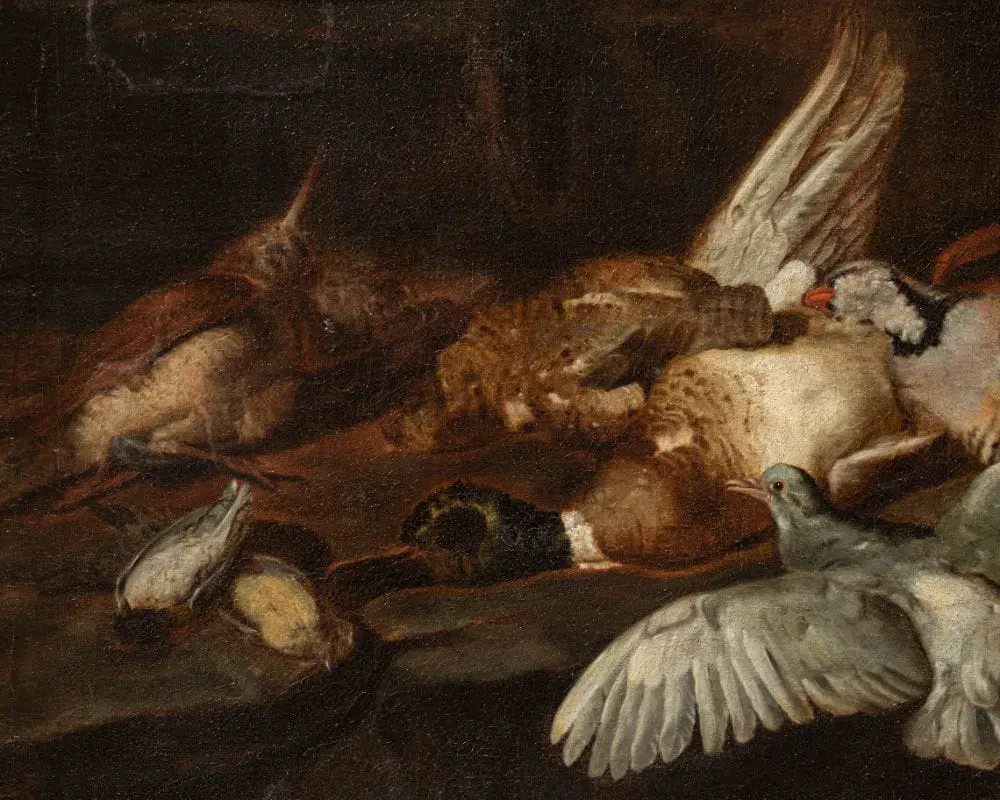 Dipinto attribuito a Jacobus o Iacomo Victor (1640 ca. – 1705) raffigurante una Natura morta con uccelli - immagine 5