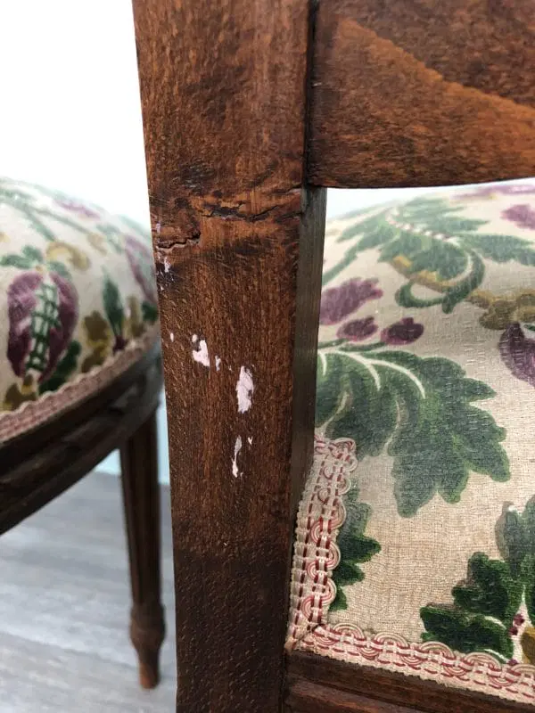 Coppia Di Sedie In Legno Di Faggio Intagliato In Stile Luigi XVI, Primi ‘900 - immagine 6