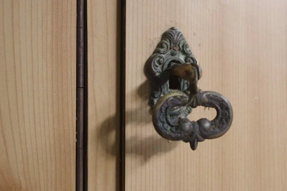 Mobile dispensa anni ’50 - immagine 2