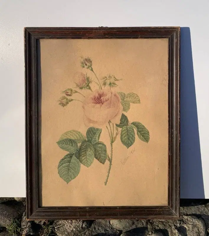 Disegnatore europeo (datato 1828) – La rosa. - immagine 4