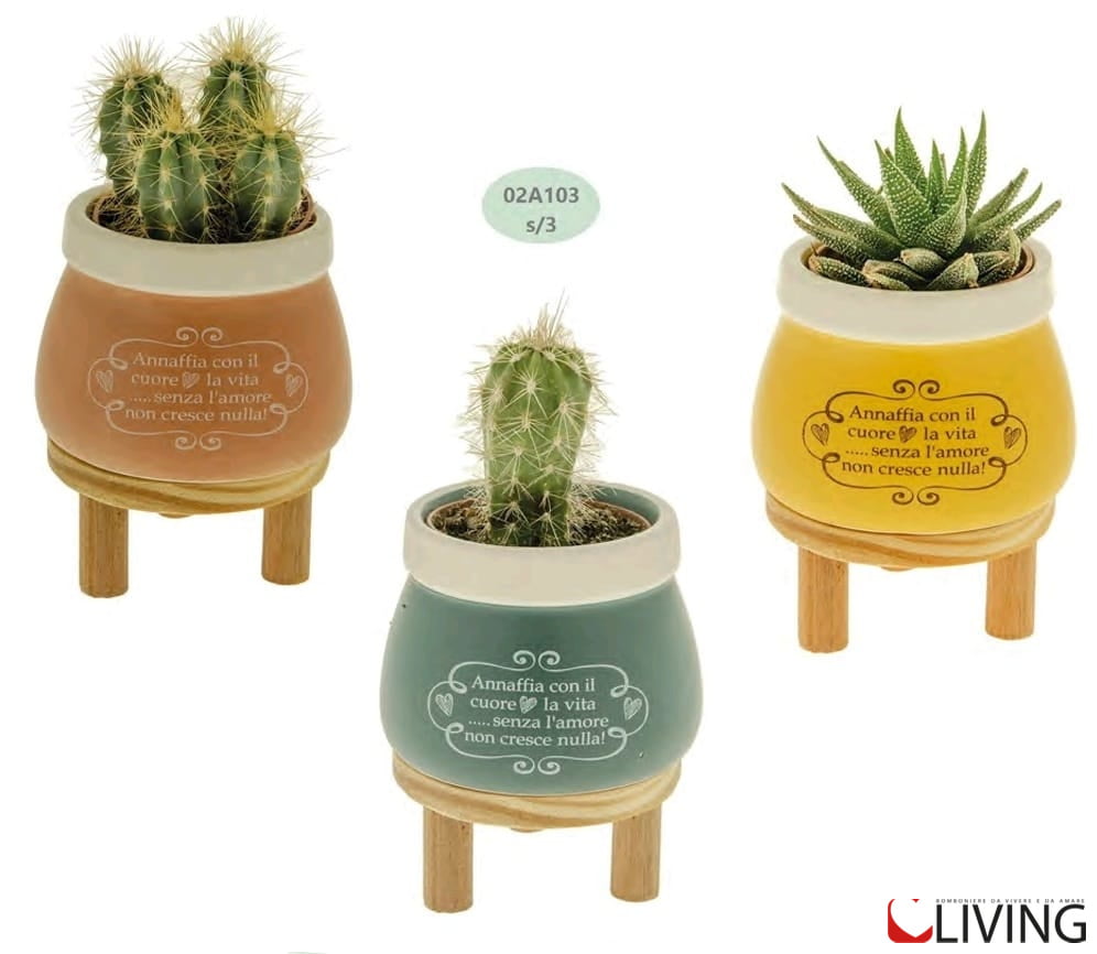 Bomboniera porta piante linea nuvola